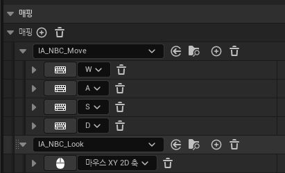 InputMappingContext 설정