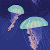 Velog profile picture for @kiana