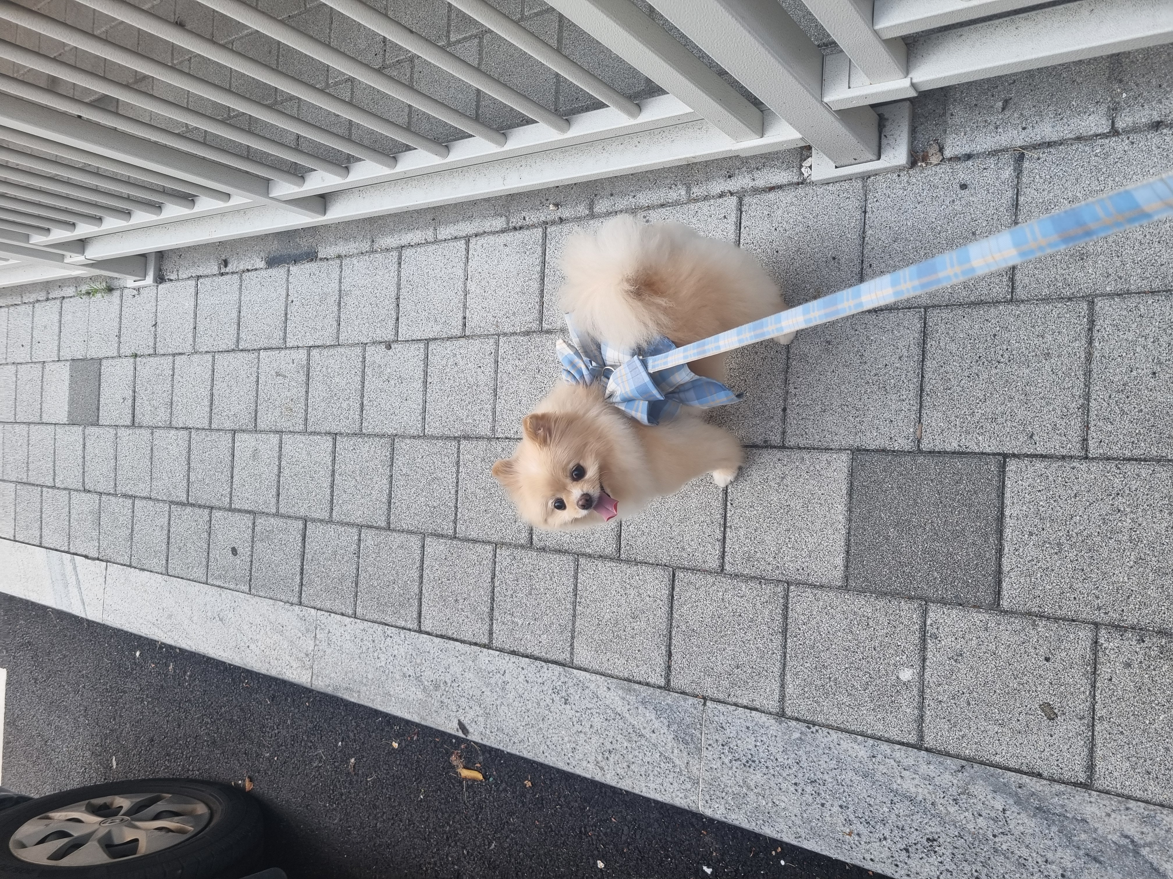 comment-user-thumbnail