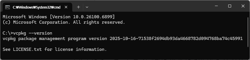 [C++] vcpkg & Visual studio 추가 라이브러리 설정