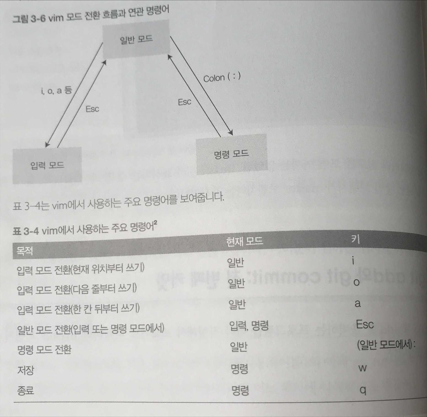 TIL : git 기초