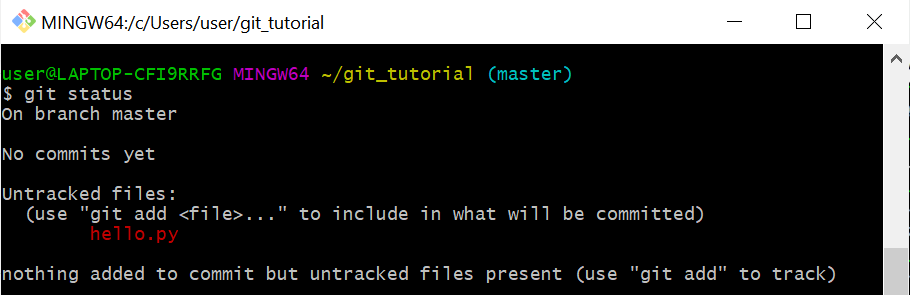 TIL : git 기초