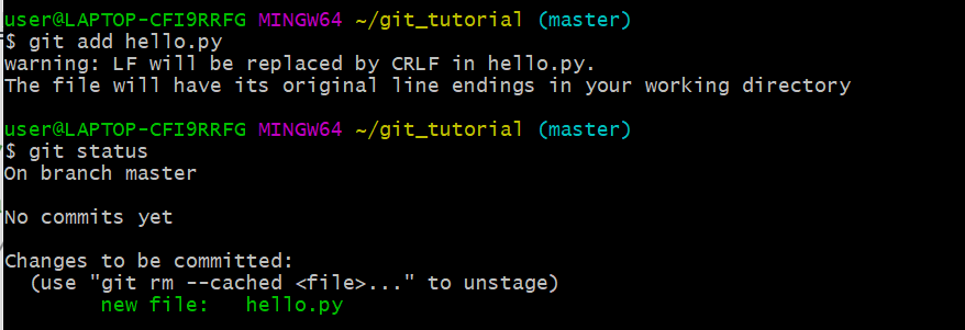 TIL : git 기초