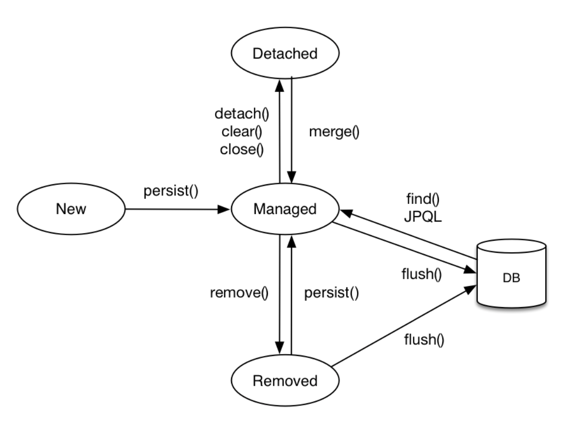 Life-Cycle