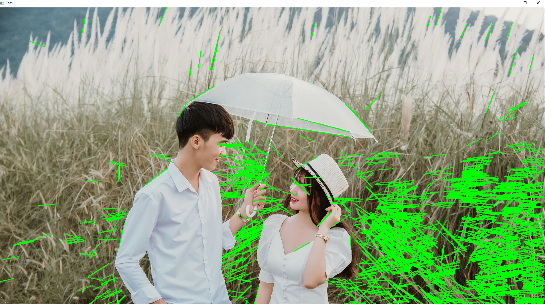 AI프로젝트20) 머신러닝 / OpenCV_5