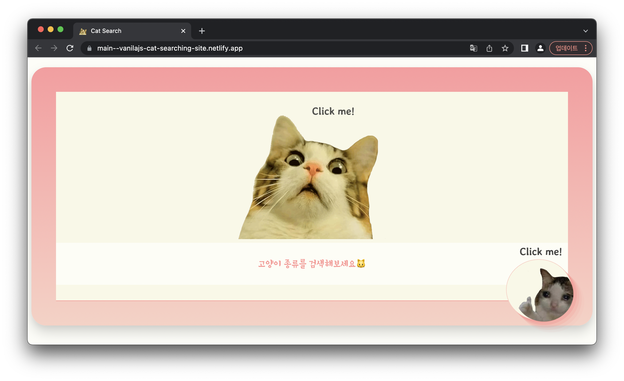프로그래머스 과제테스트] 고양이 사진 검색 사이트