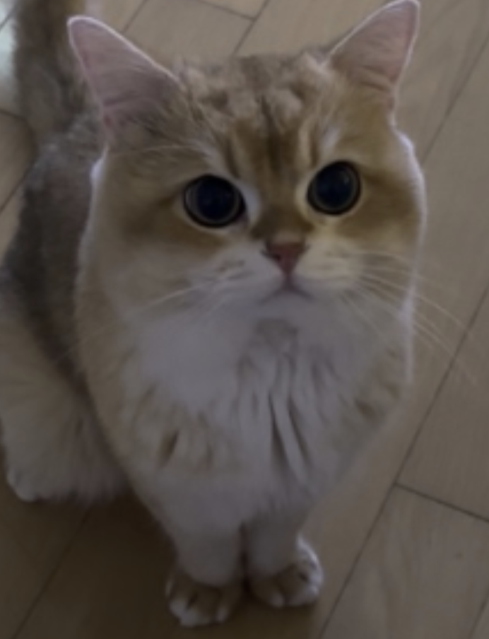 comment-user-thumbnail