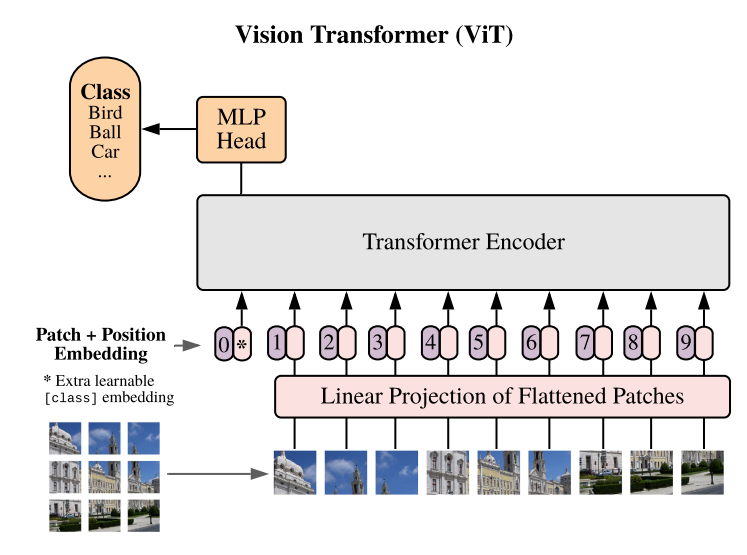 Vision Transformer Architecture
