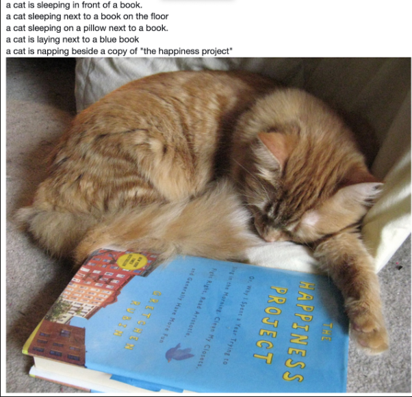 COCO Image-Text Pair example