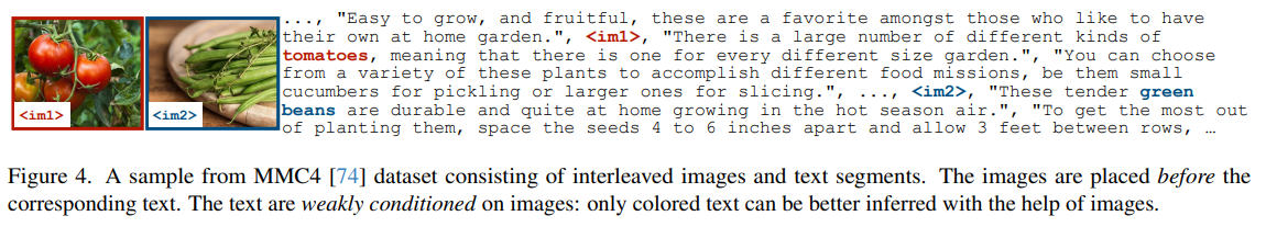 MMC4: Interleaved Dataset