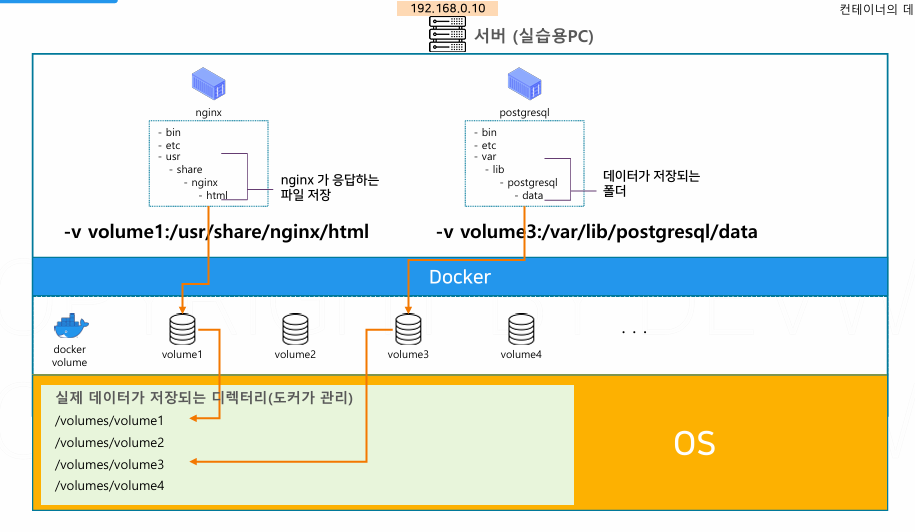 docker volume