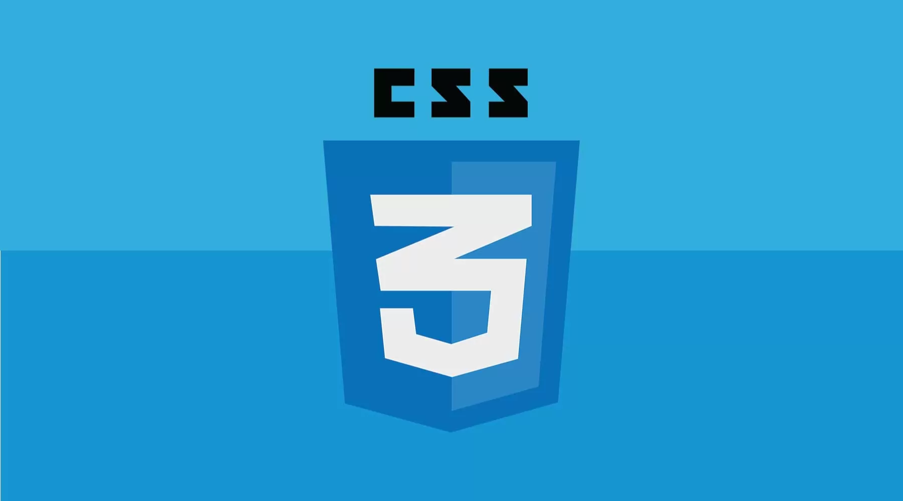 Reset CSS