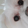 comment-user-thumbnail