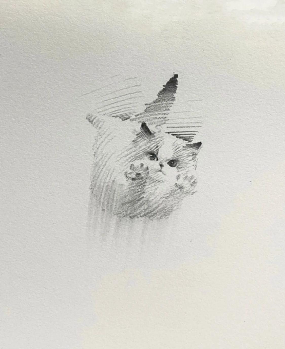 comment-user-thumbnail