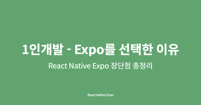 React Native Expo: 1인 개발자를 위한 압도적인 개발 속도와 편의성 전략