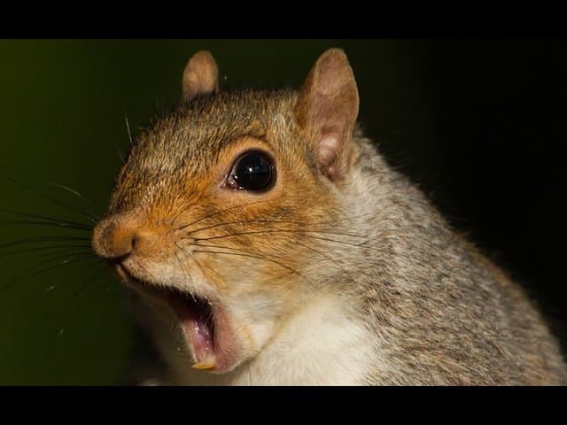 post-thumbnail