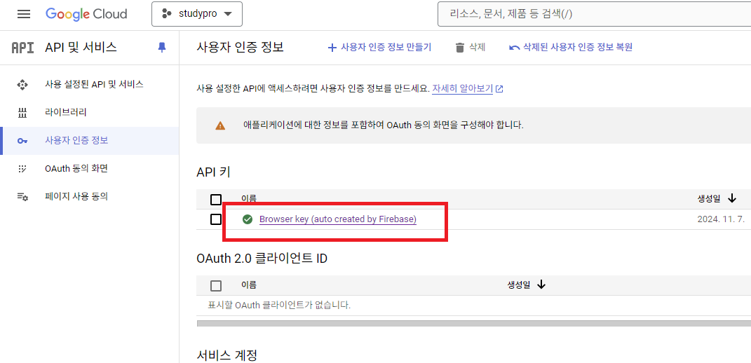 Firebase API Key 노출 우려