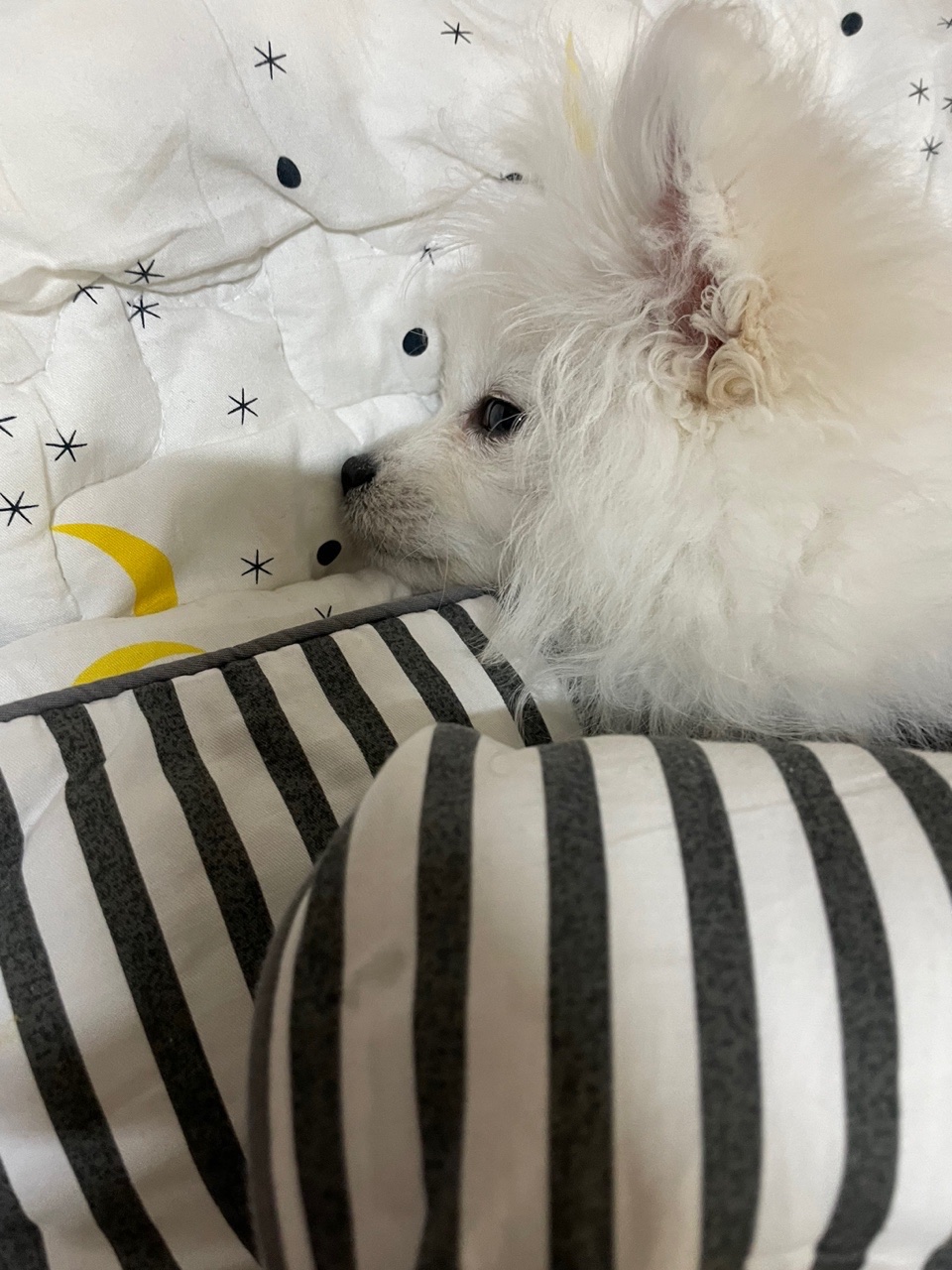 comment-user-thumbnail