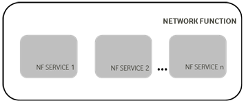 Network Function and NF Service