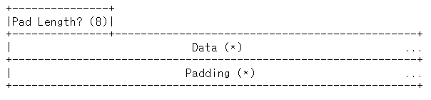 DATA Frame Payload