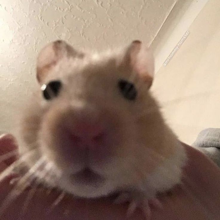 post-thumbnail
