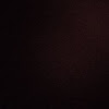 Velog profile picture for @landscape
