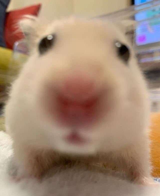 comment-user-thumbnail