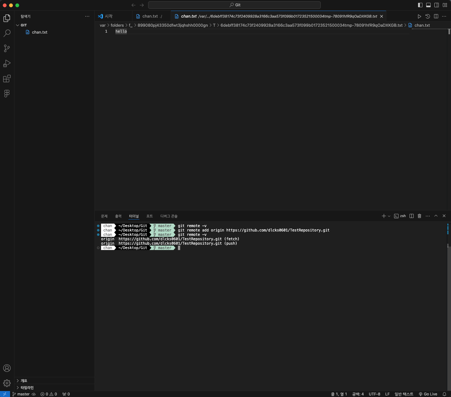 Github repository, branch