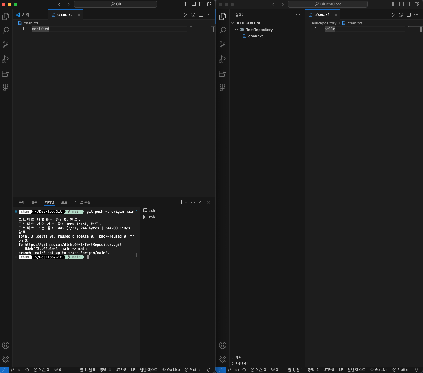 Github repository, branch