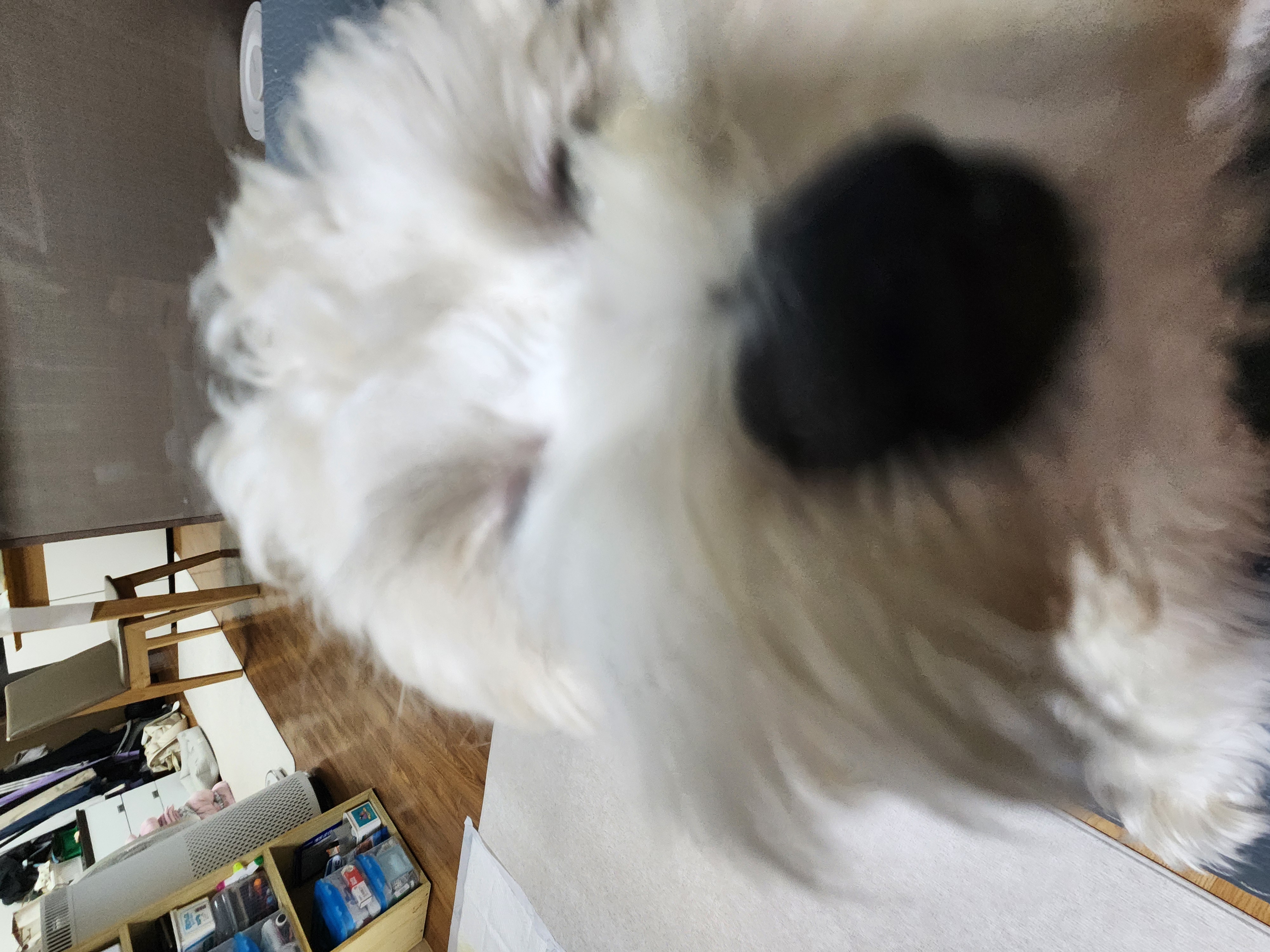 comment-user-thumbnail