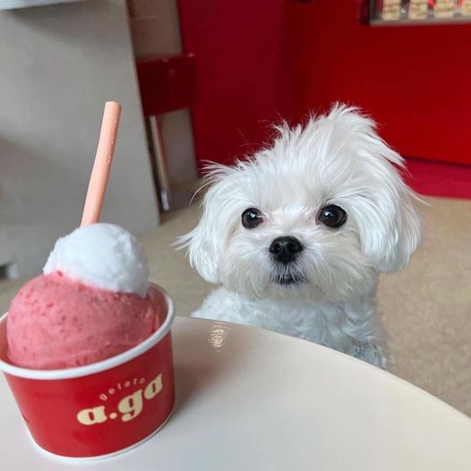 comment-user-thumbnail