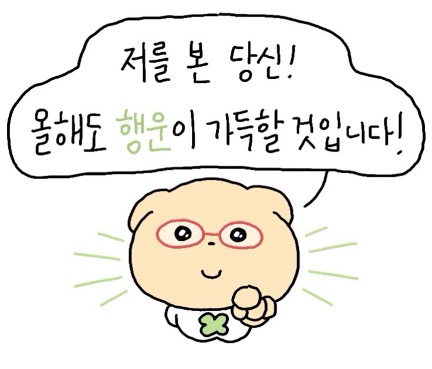 개발자 취업 준비 여정: 좌절과 성장을 통한 성장기