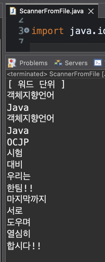 ScannerFromFile 행 단위 결과