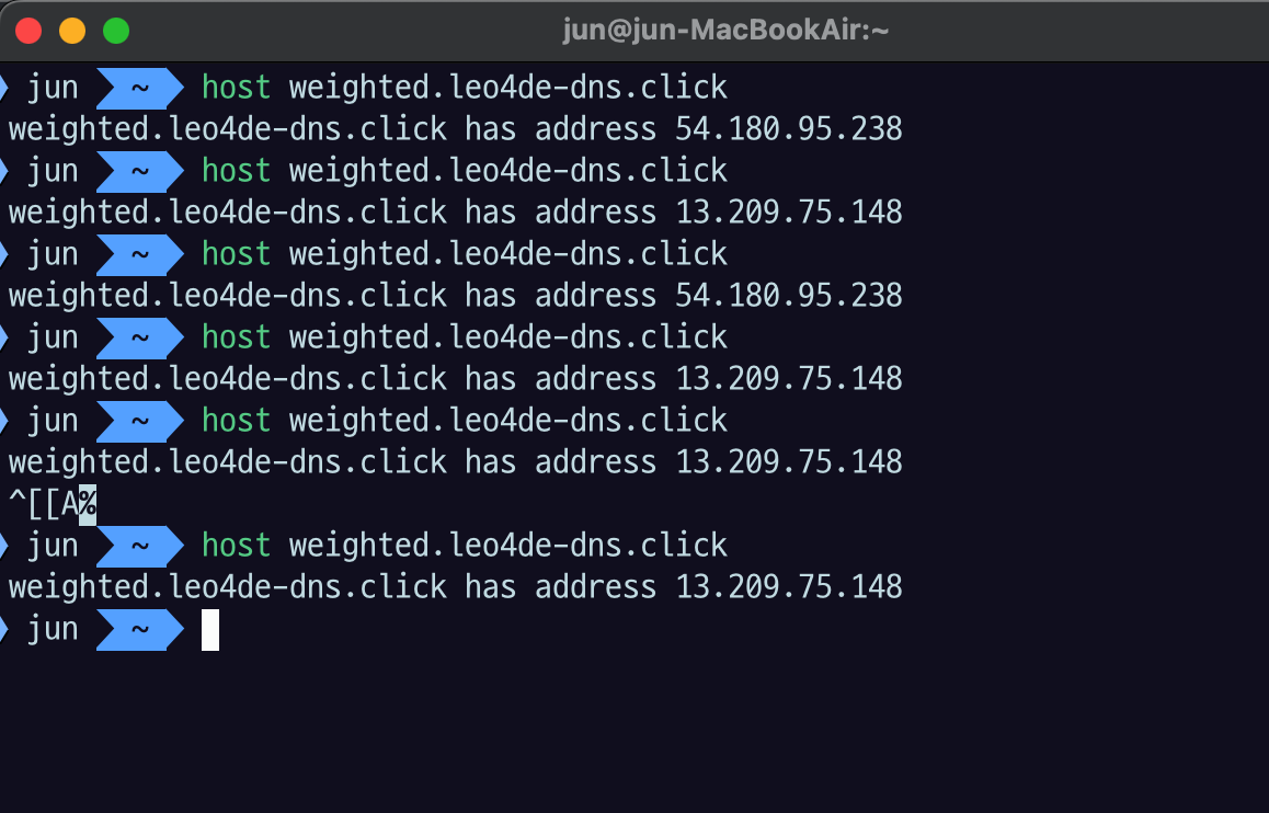host weighted.leo4de-dns.click 여러 번 결과
