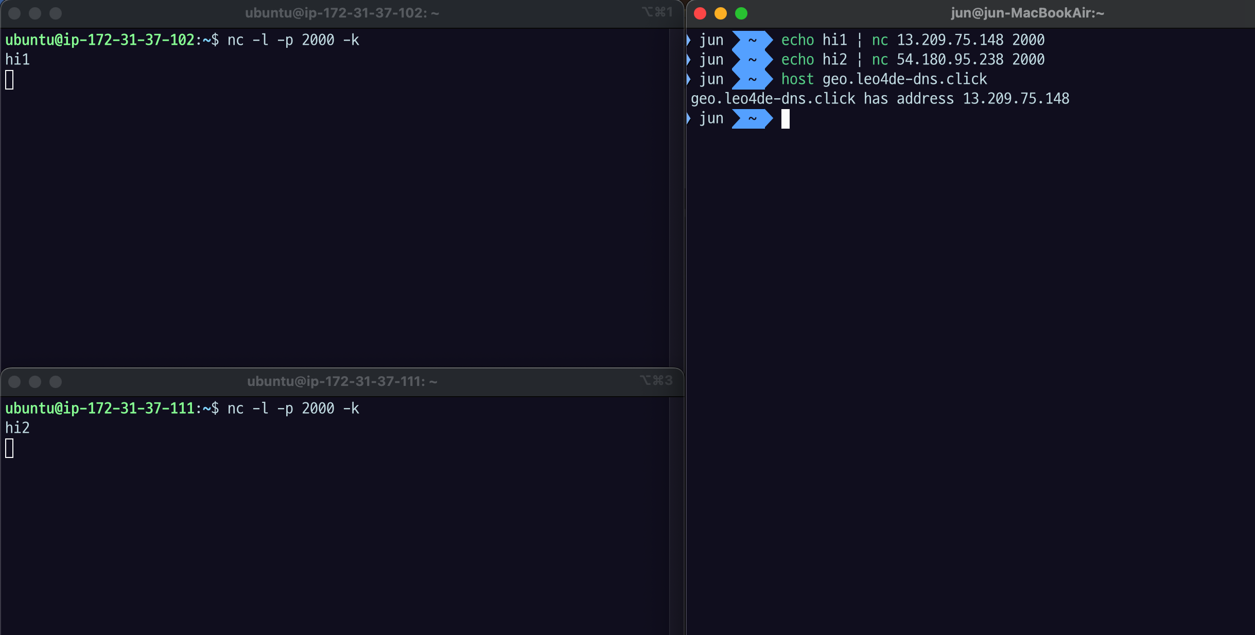 host geo.leo4de-dns.click 결과