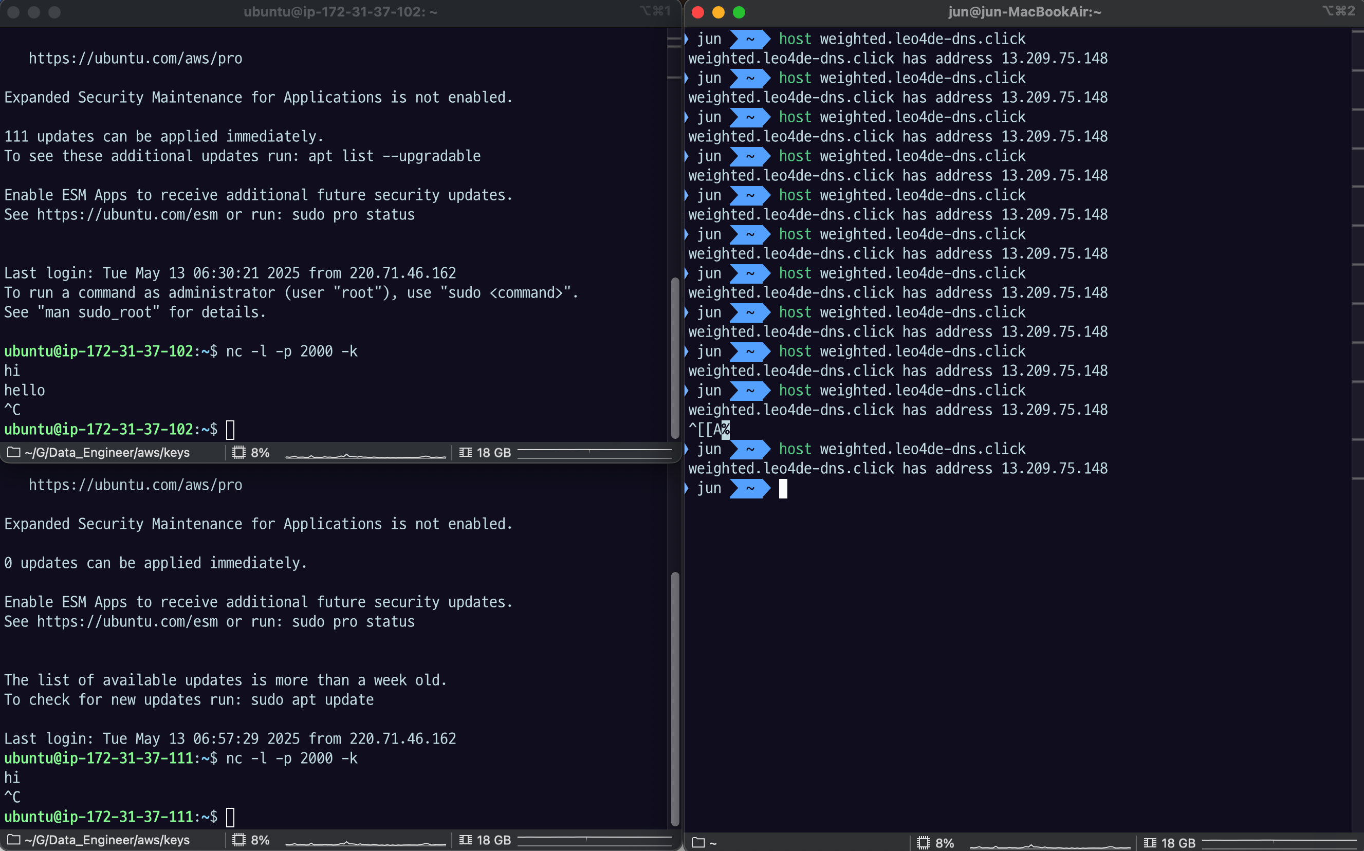 둘 다 unhealty 상태에서의 host 결과