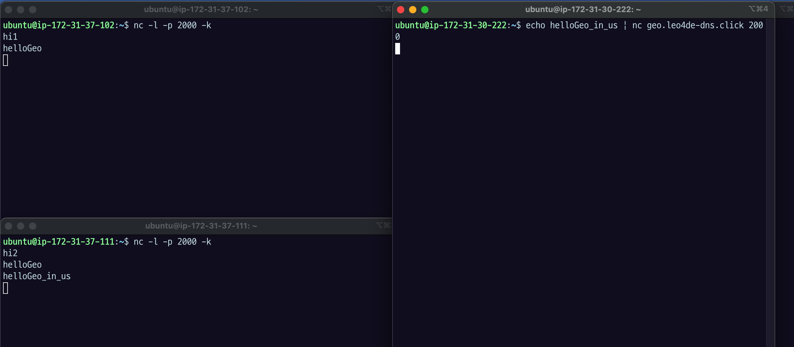 미국 서버에서 작성한 echo helloGeo_in_us 결과 