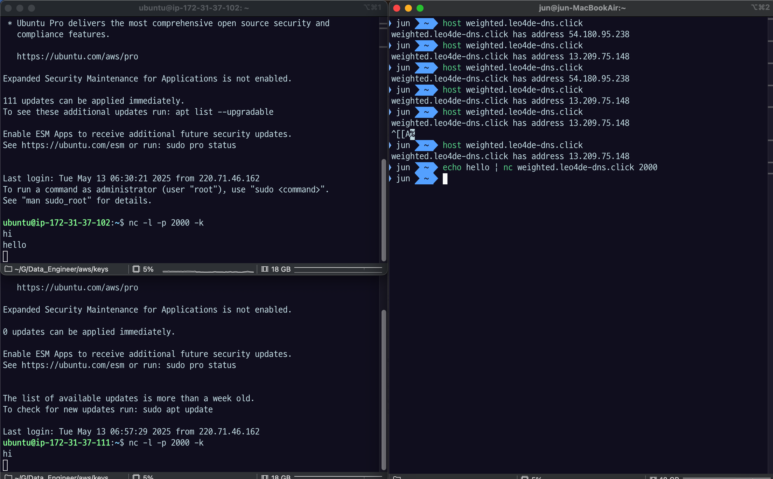 echo hello | nc weighted.leo4de-dns.click 2000 결과