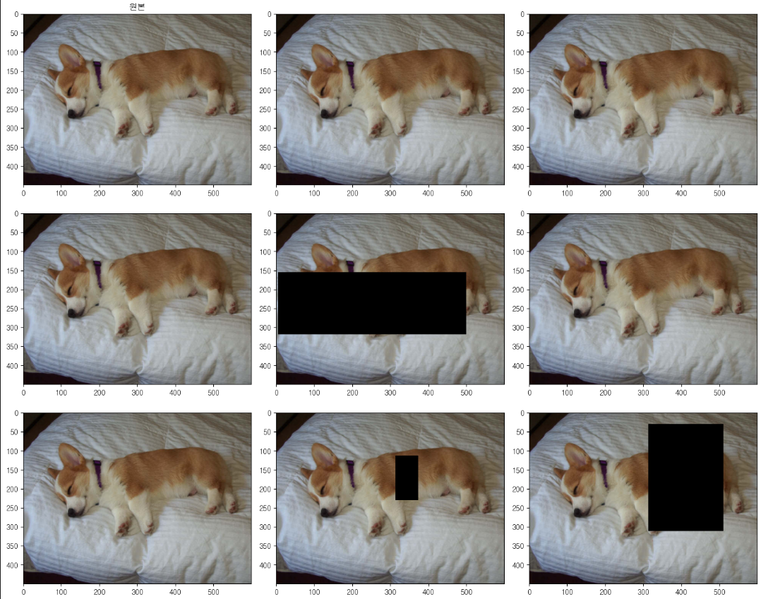 Image augmentation