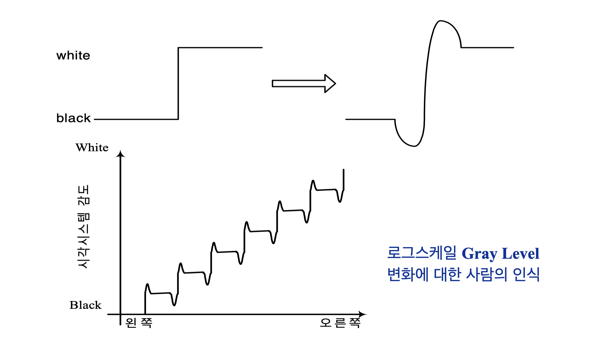 DIP] 영상처리개론