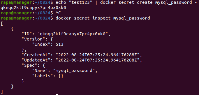 0-docker-swarm-config-secret