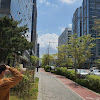 comment-user-thumbnail