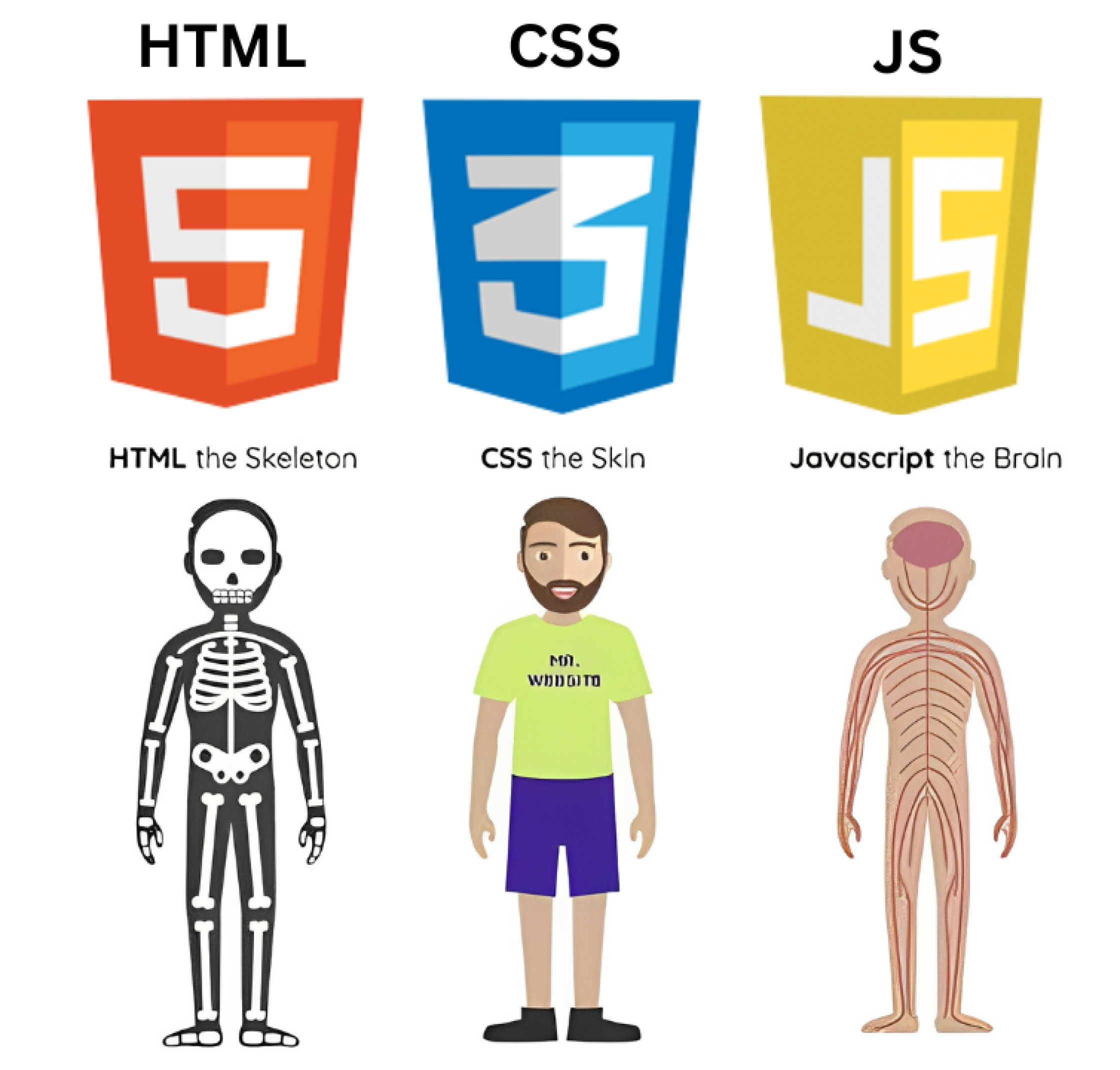 JavaScript 흐름 이것만 알아도 된다