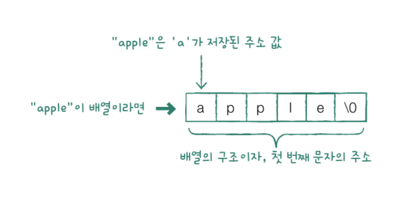 12. 문자열과 포인터