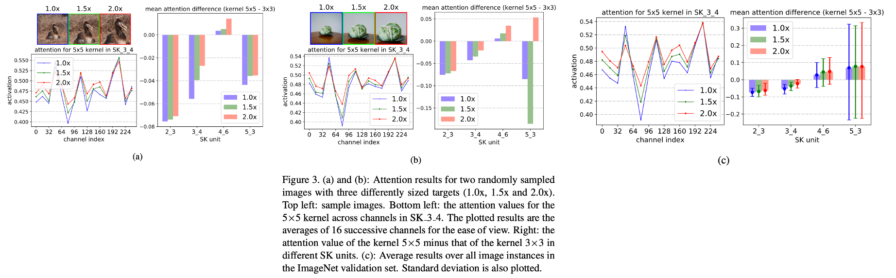 [SKNet] Selective Kernel Networks