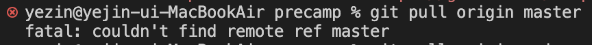 fatal: couldn't find remote ref master