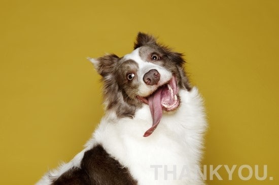 comment-user-thumbnail