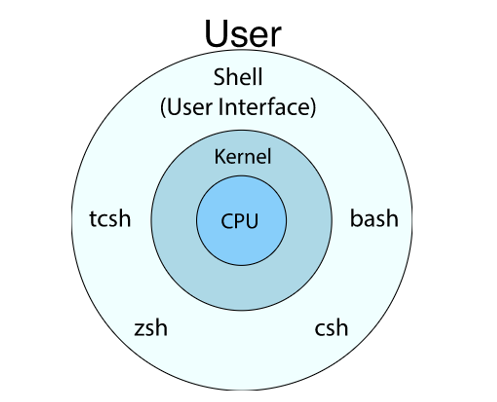 [TIL] Linux & Terminal
