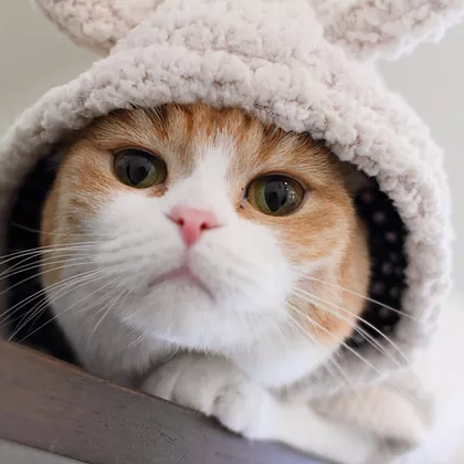 comment-user-thumbnail