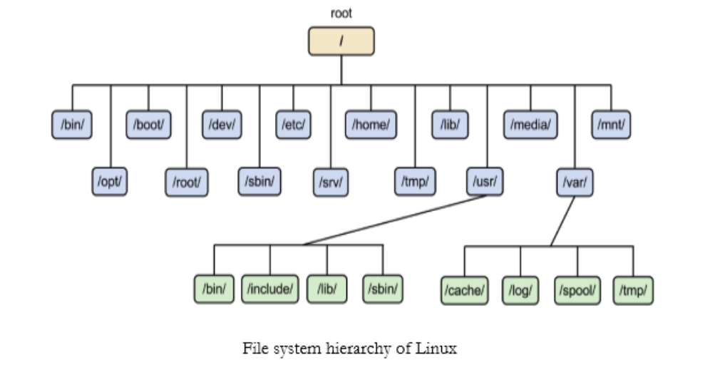 TIL: Linux and Shell Commands